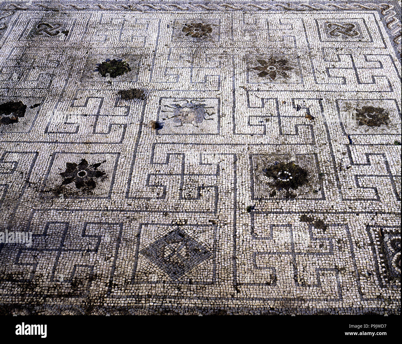 Mosaik in den Vögeln in die Römischen Ruinen von Italica in 206 gegründet. c. durch Scipio. Stockfoto