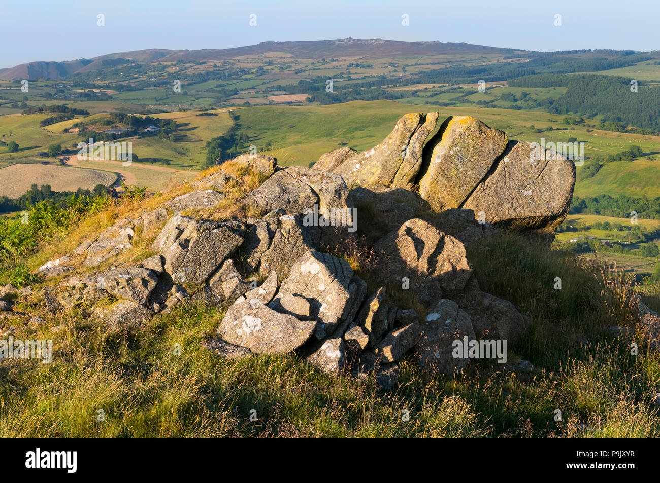 Ein Felsbrocken auf Corndon Hill, Powys, mit der Stiperstones, Shropshire, am Horizont. Stockfoto