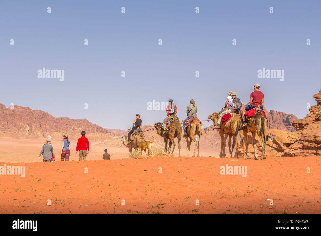 WADI RUM WÜSTE, Jordanien - April 30, 2016: Touristen reiten auf Kamelen reiten in Wadi Rum Wüste in Jordanien. Stockfoto