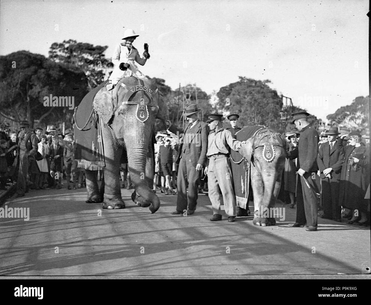 243 20687 SLNSW 2 CH Picknick Taronga Park Zoo Stockfoto