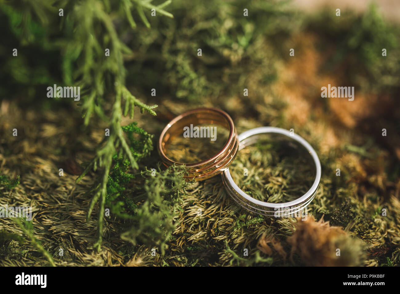 Zwei Goldene Ringe Auf Weißem Hintergrund Stockfotos und -bilder Kaufen ...