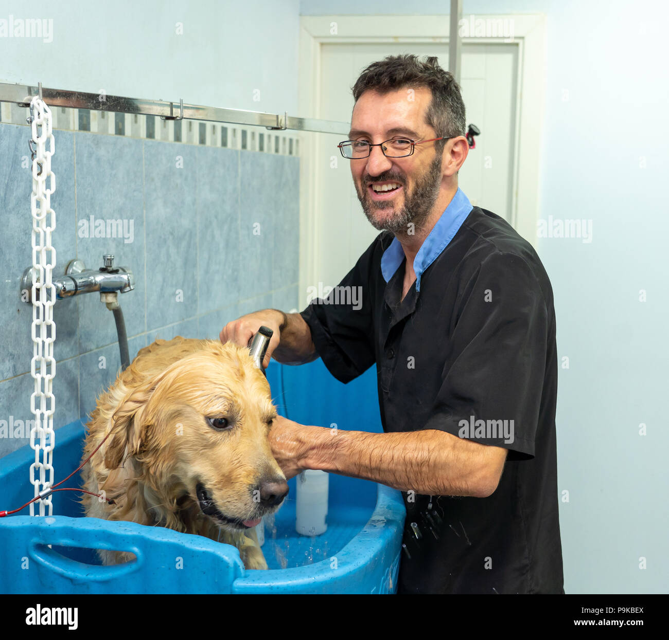 Männliche pet groomer Waschen und Reinigung ein Golden Retriever in katzensalon in Einklang ihrer Tiere sauber und gesund. Stockfoto