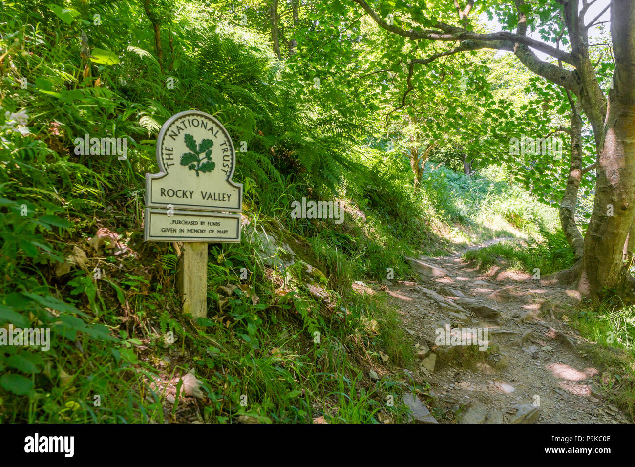 Üppige Vegetation im felsigen Tal mit National Trust sign Sommer 2018, North Cornwall, Cornwall, England, Großbritannien Stockfoto