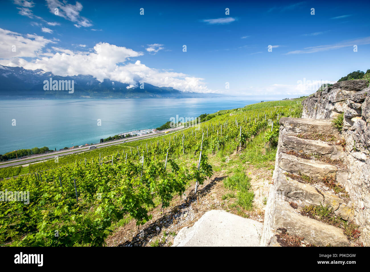 Panorama Ansicht von Villeneuve Stadt mit Schweizer Alpen, den Genfer See und Weinberg auf Lavaux, Kanton Waadt, Schweiz, Europa. Stockfoto