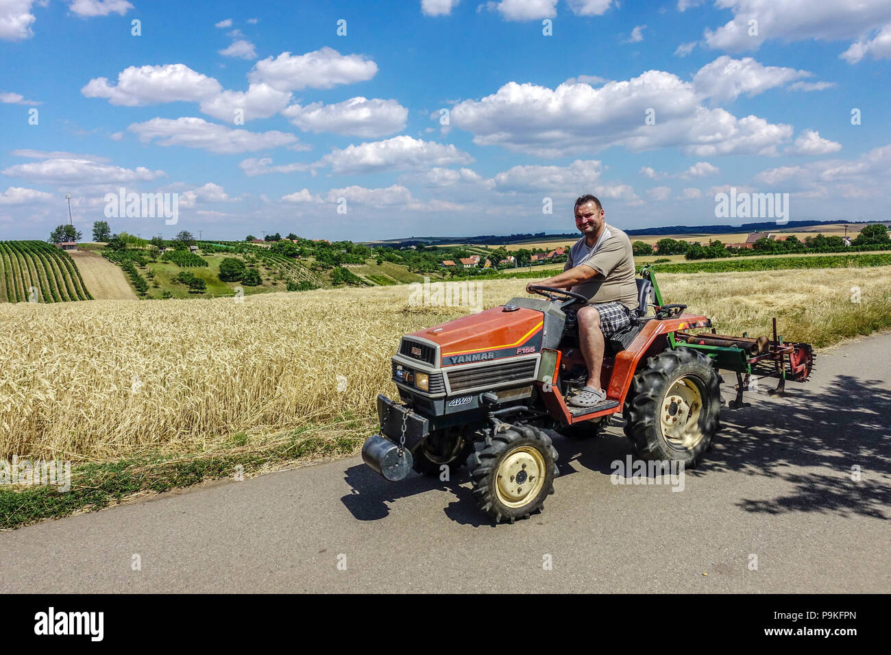 Der Bauer auf einem kleinen Traktor arbeitet im Weinberg, in Hovorany, in Südmähren, in Tschechien Stockfoto