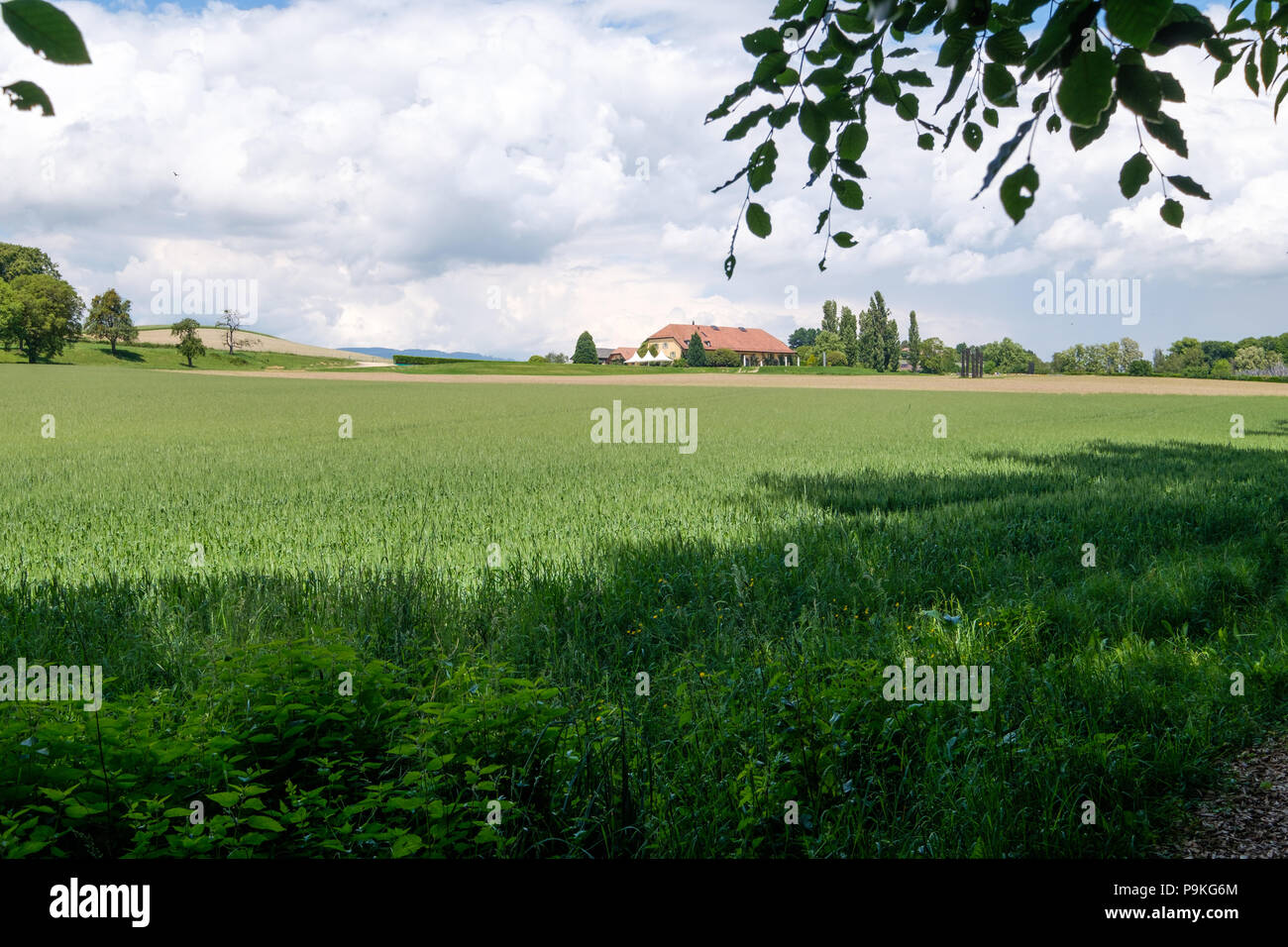 Schöne Felder warten auf den Sommer. In der Nähe von Vullierens, Schweiz Stockfoto