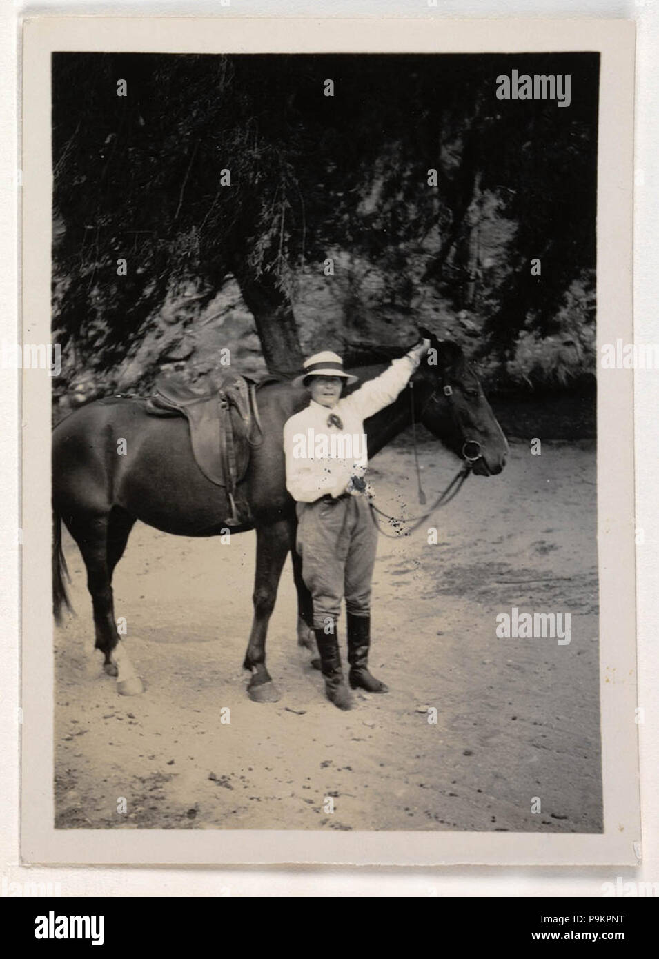 293 SLNSW 822100 92 Miles Franklin 1939 Stockfoto