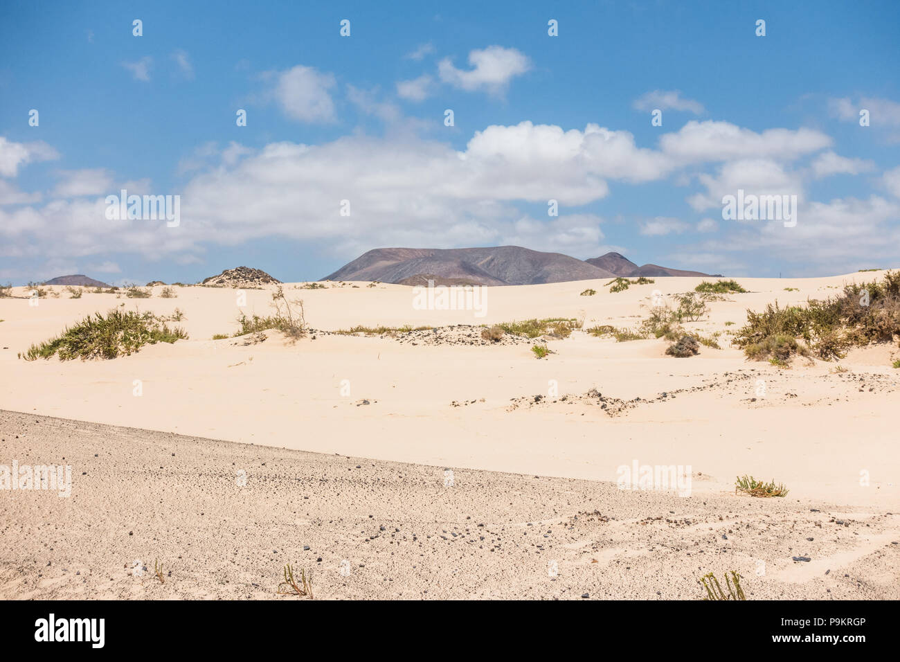Die Dünen im Naturpark von Corralejo auf Fuerteventura, Kanarische Inseln - Spanien Stockfoto