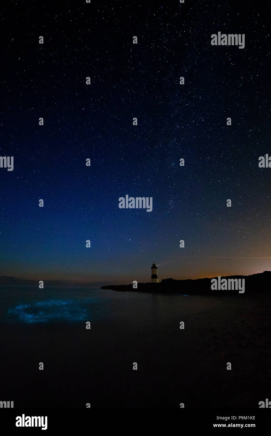 Penmon Punkt, Anglesey, Wales, Wetter: Mit dem Anstieg der Temperaturen aufgrund der jüngsten Sommerhitze das faszinierende Schauspiel der bioluminescent Plankton extra mit vielen in Scharen zu Penmon Punkt hat spezielle auf Anglesey in der Hoffnung, dass die Plankton auf einer Show versetzt worden. Das Blau kommt aus einem Abwehrmechanismus der Plankton wenn sie gestört, das Wissen auch als Meer Funkeln oder Latein (Noctiluca scintillans) Stockfoto