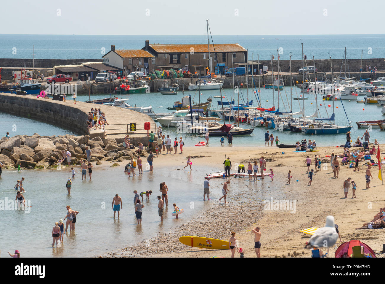 Lyme Regis, Dorset, Großbritannien. Juli 2018 19. UK Wetter: Sehr warm und sonnig in Lyme Regis. Sunseekers Herde zum Strand an einem anderen Tag der heißen Sonne und strahlend blauer Himmel im Badeort Lyme Regis zu genießen. Credit: Celia McMahon/Alamy leben Nachrichten Stockfoto