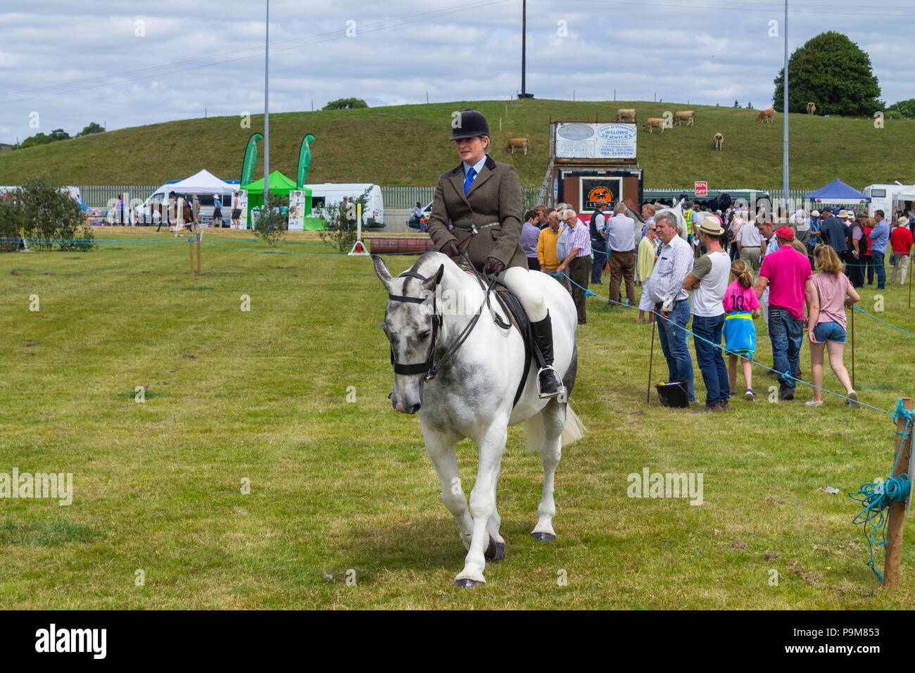 Skibbereen, Irland. 19. Juli 2018. Einen anderen hellen Sommertag mit einer kühlen Brise erlaubt die viele Klassen von Rinder und Pferde genossen von allen an der Carbery und Skibbereen zeigen. Credit: aphperspective/Alamy leben Nachrichten Stockfoto