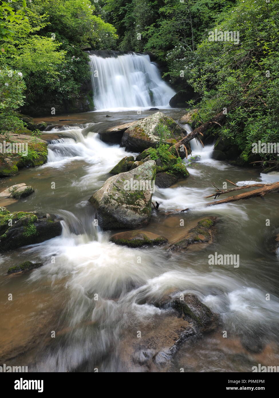 Gelbe Creek Falls nach starken Regenfällen in der Nähe von Robbinsville, North Carolina, United States. Stockfoto