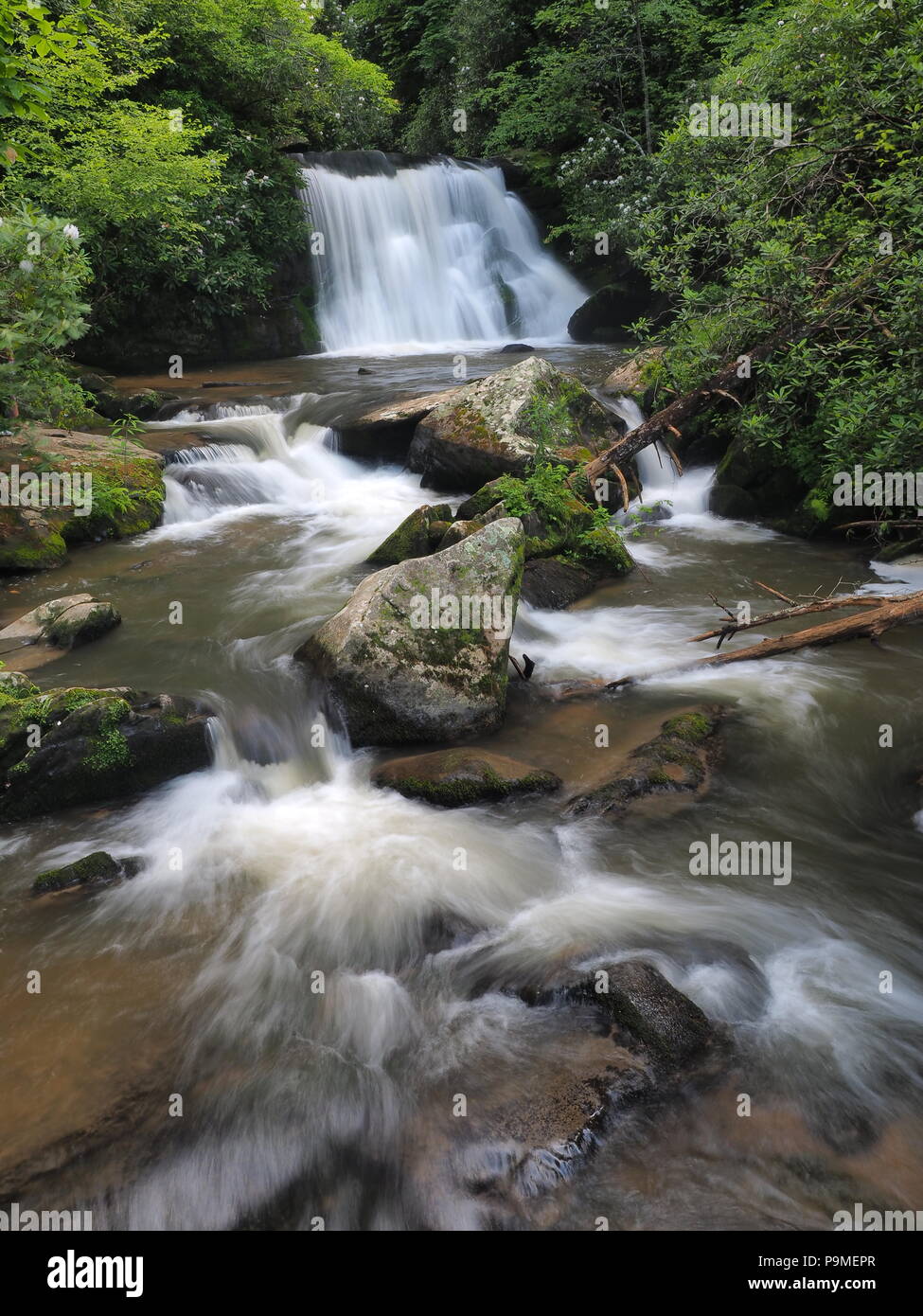 Gelbe Creek Falls nach starken Regenfällen in der Nähe von Robbinsville, North Carolina, United States. Stockfoto