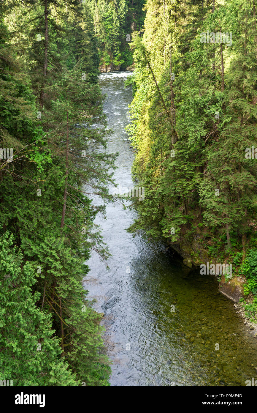 Capilano Suspension Bridge Park, Vancouver, British Columbia, Kanada, Samstag, 26. Mai 2018. Stockfoto