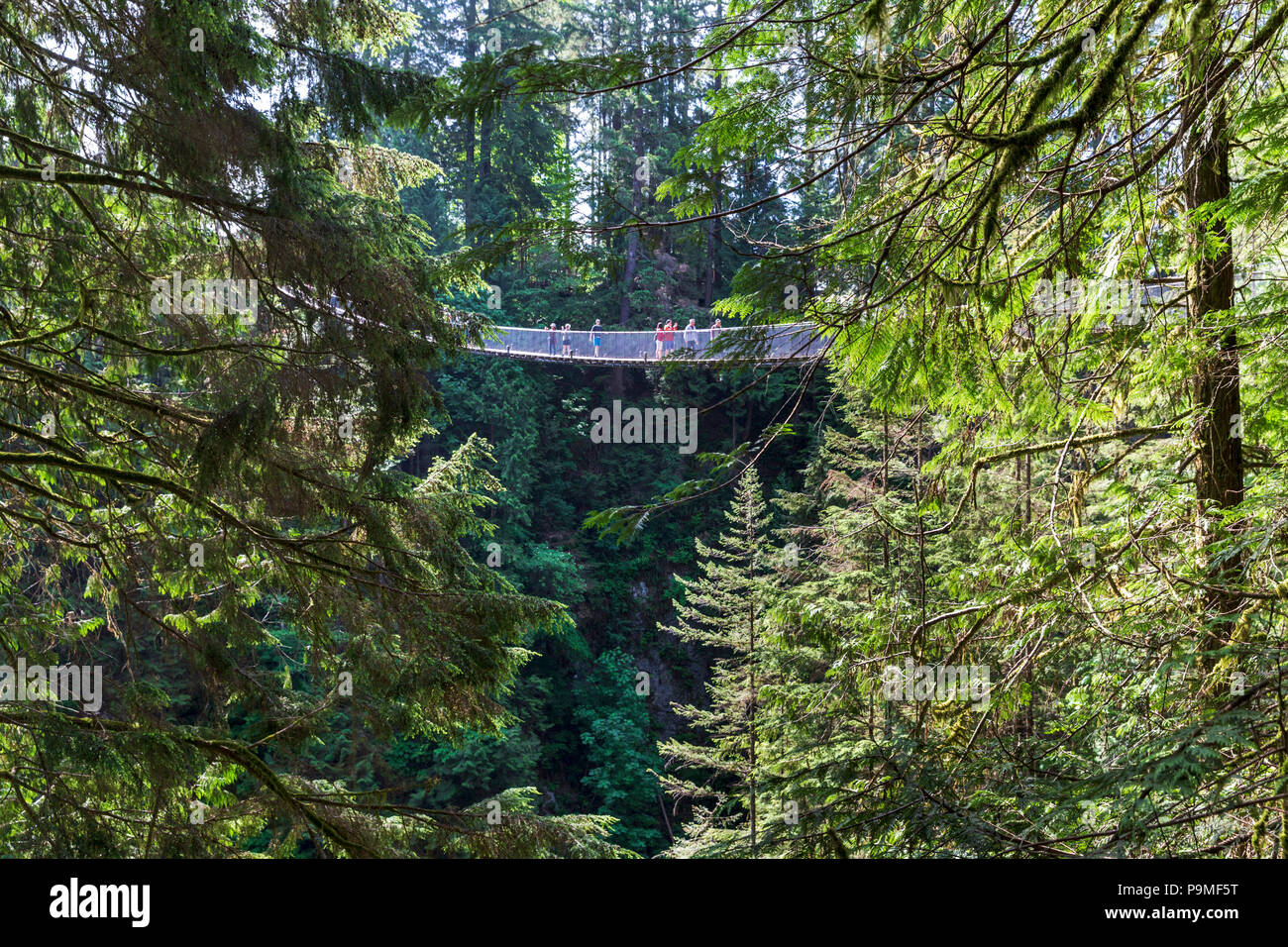 Capilano Suspension Bridge Park, Vancouver, British Columbia, Kanada, Samstag, 26. Mai 2018. Stockfoto