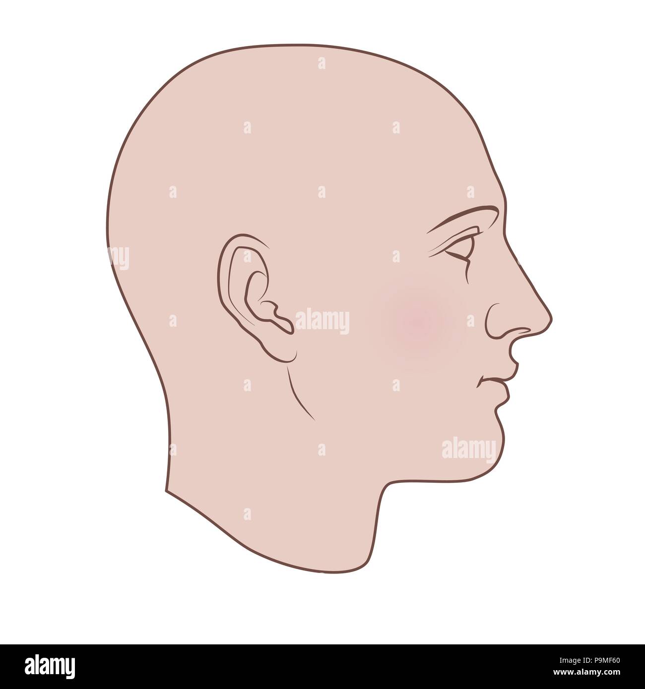 Hand menschlichen Kopf im Profil gezeichnet. Flache Vektor auf weißem Hintergrund. Stock Vektor