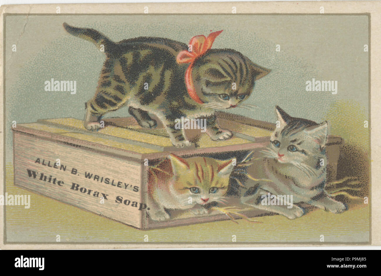 . Englisch: Persistente URL: Digital.lib.muohio.edu/u?/tradecards,2741 betrifft (TGM): Katzen; Poesie; Haushalt Seife; chemische Industrie; Poesie; Meldung: Keywords. ca. 1900 118 Allen B. Wrisley's White Borax Soap (3093727780) Stockfoto