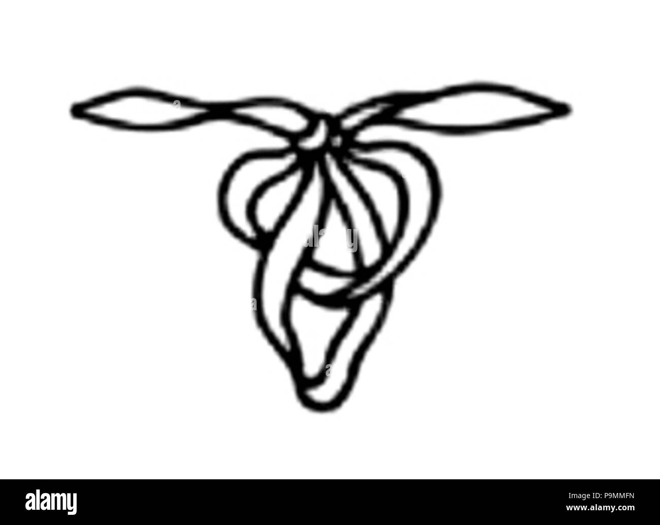 139 Annunzio - Dzwony p173 Stockfoto