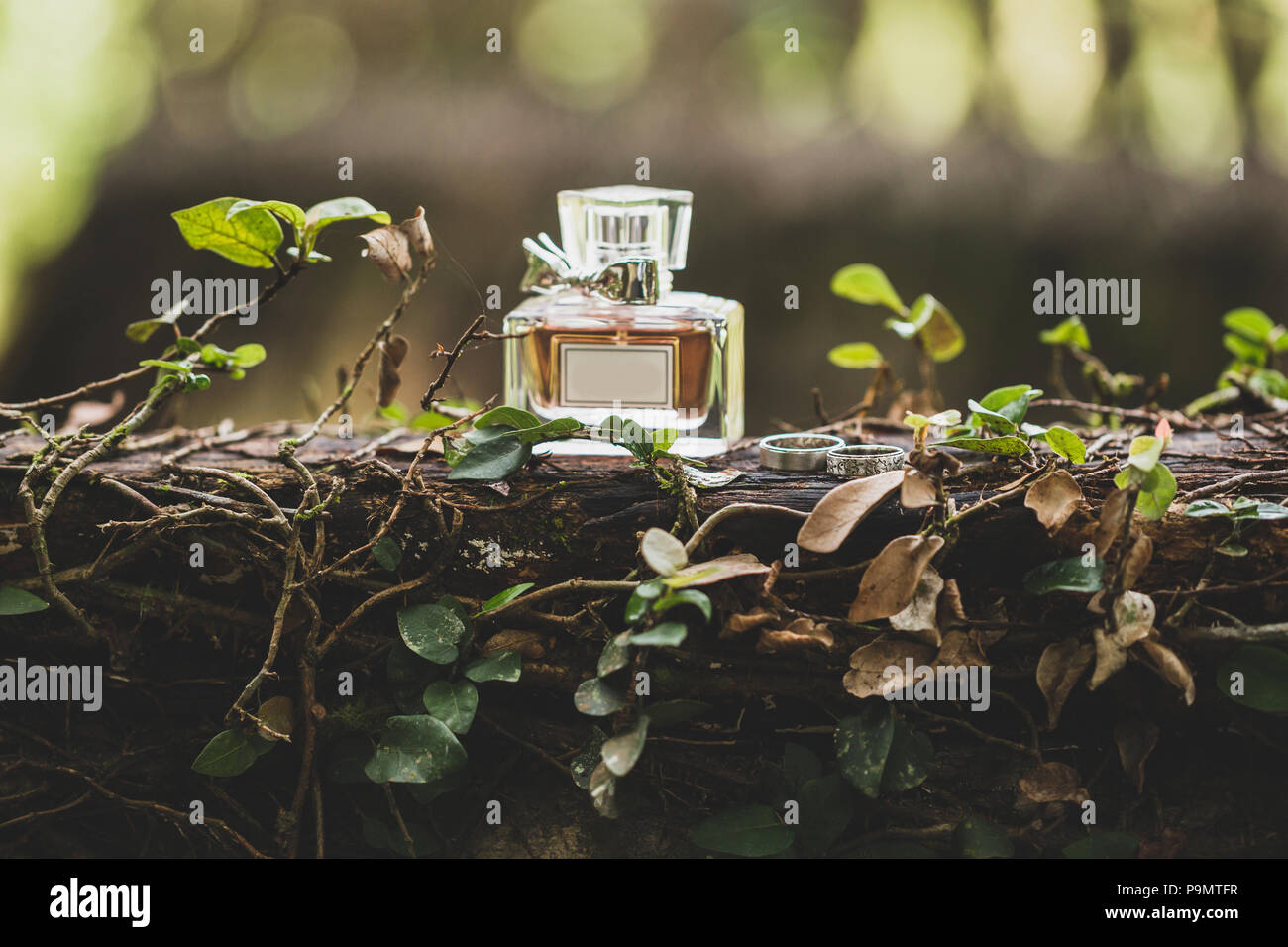 Flasche luxus Parfum- und Trauringe. Natur tropischen Hintergrund Stockfoto