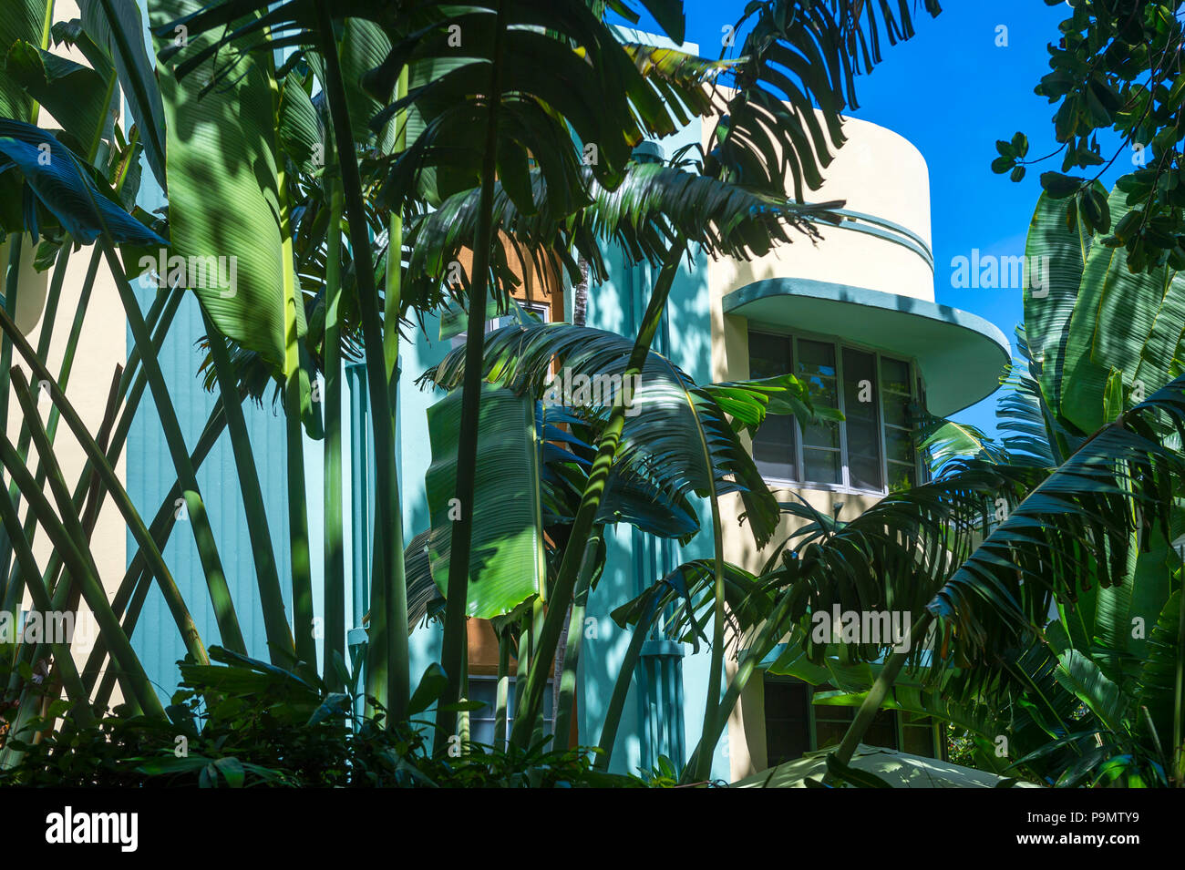 Typische pastell-colorfed 1930s Art Deco Architektur durch üppige dichten Palm Tree Laub in Miami, Florida gesehen Stockfoto