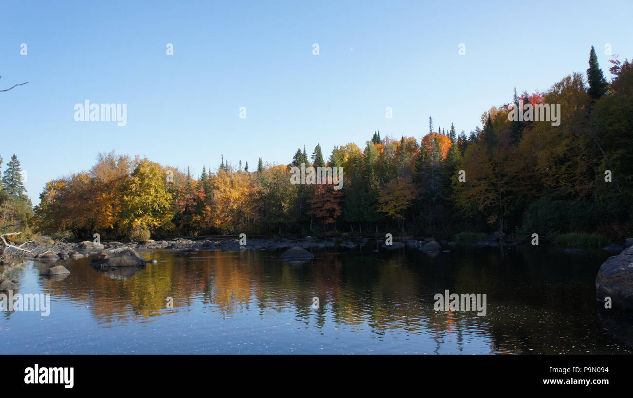 Ruhige und erholsame Fluss, mit einem Wald mit mehreren Farben im Hintergrund. Stockfoto
