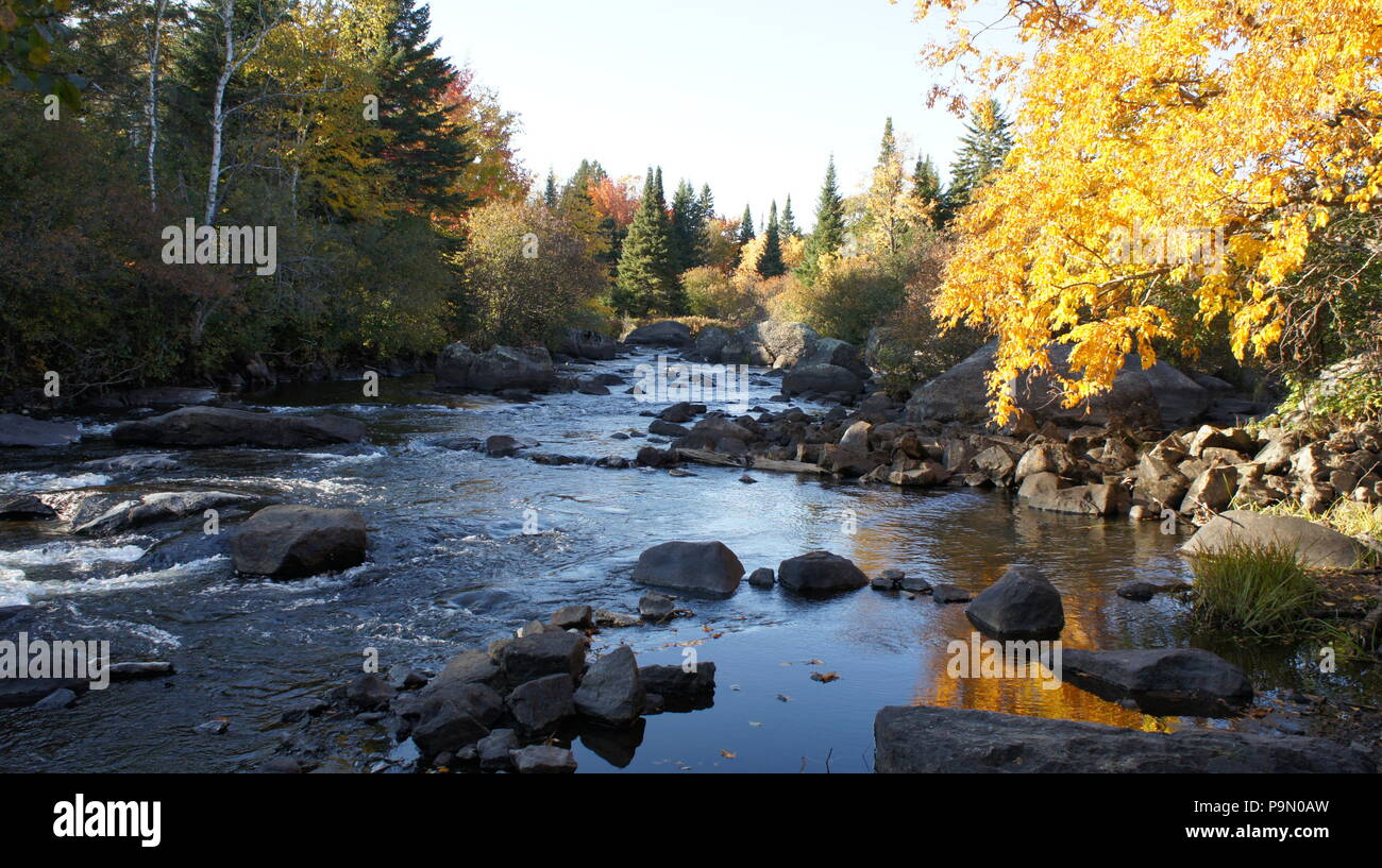 Fluss, umgeben von Bäumen im Herbst Farben begrenzt Stockfoto