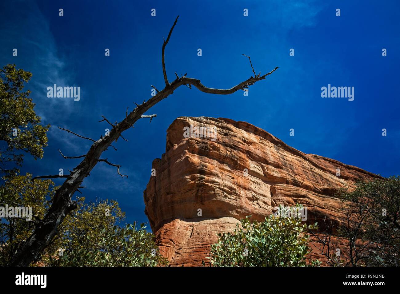 Sandstein rot Felsen Sedona Arizona USA Stockfoto