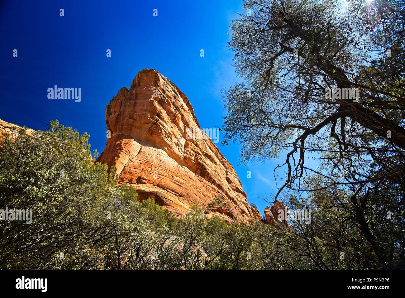 Sandstein rot Felsen Sedona Arizona USA Stockfoto