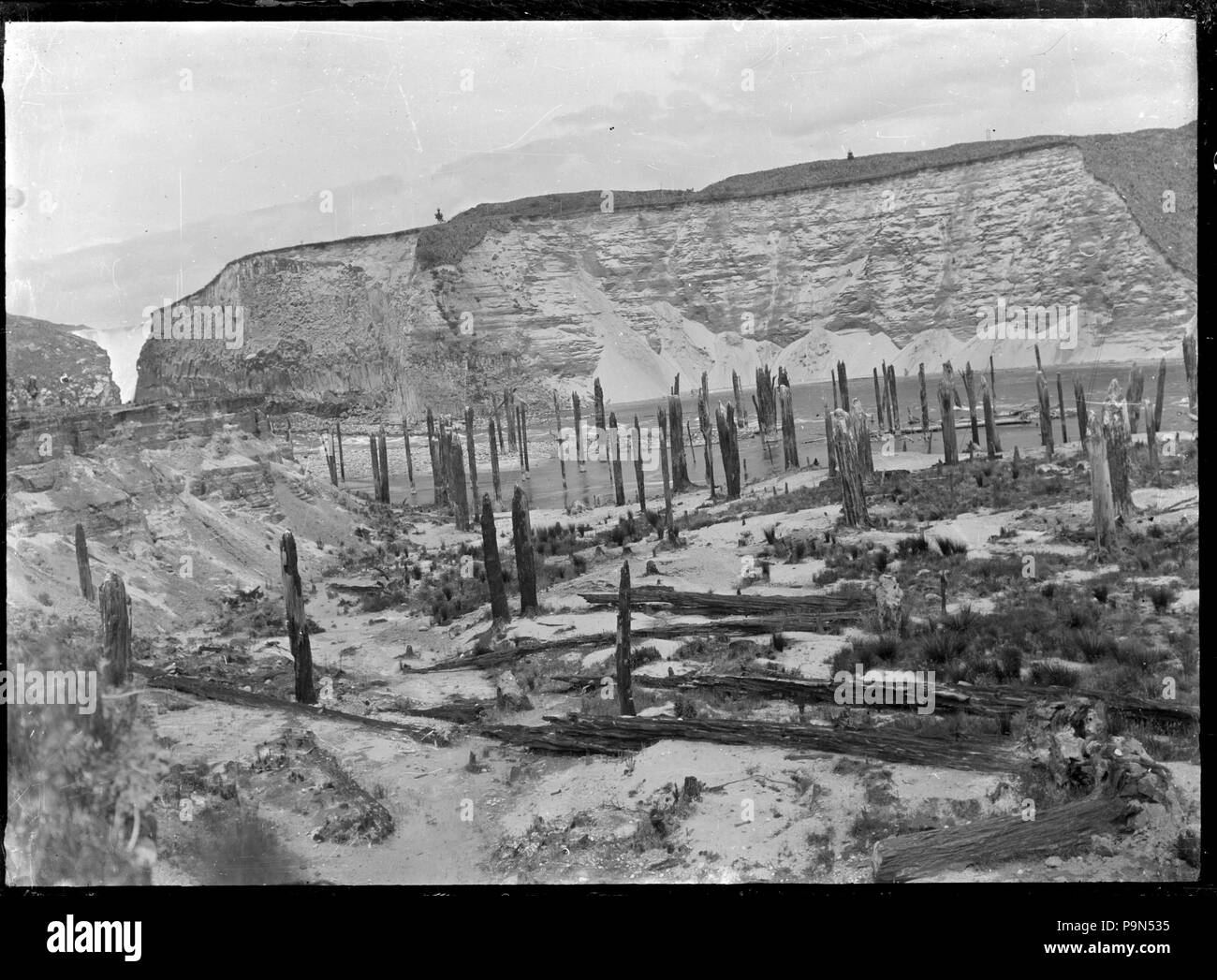 324 Anzeigen des ertrunkenen Wald, der in die Ansicht als Land kam, war von Wasser bei Arapuni, 1929 umgeleitet werden aufgedeckt. 295106 ATLIB Stockfoto