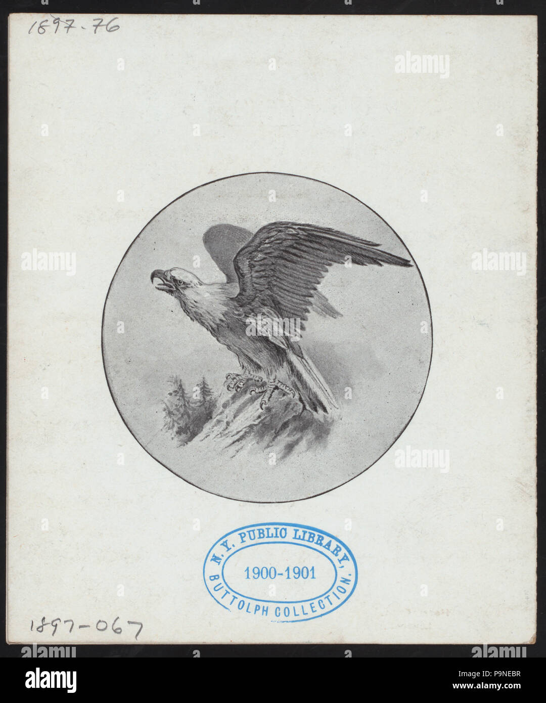 706 GEORGE WASHINGTON'S BIRTHDAY REZEPTION (Besitz) die AMERIKANISCHE GESELLSCHAFT IN LONDON (at) "HOTEL CECIL, LONDON" (für ;) (NYPL Hades -270887-4000004063) Stockfoto