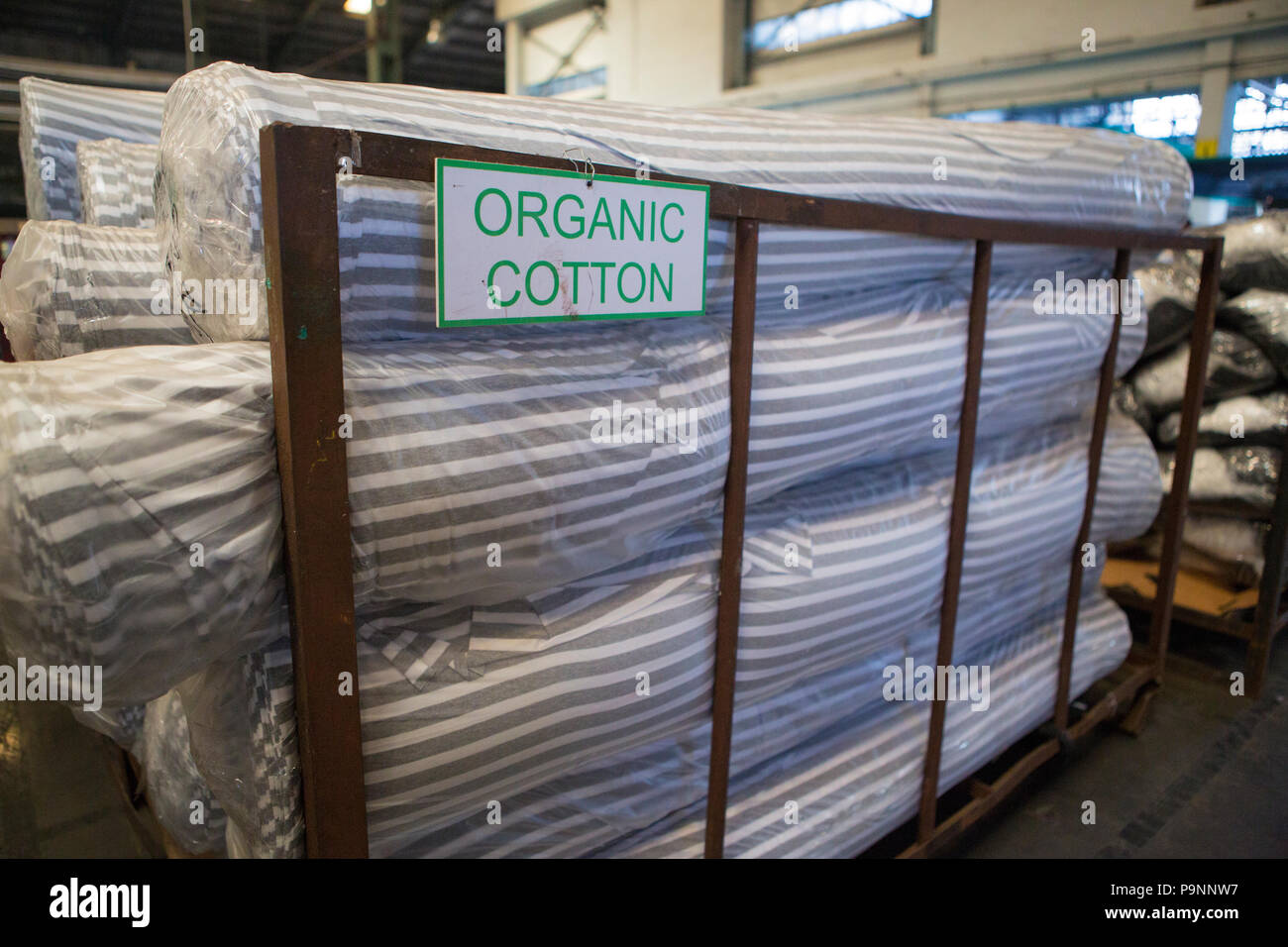 Organic Cotton in einer Textilfabrik, wo organische Baumwolle verwendet wird Kleidung, Indore, Indien produziert. Stockfoto