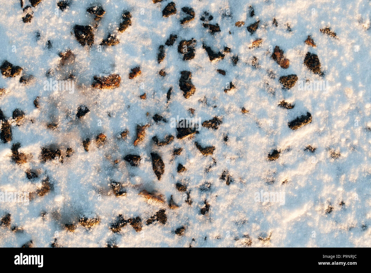 Boden mit weißem Schnee in den abgedeckten Bereich gepflügt, close-up im Winter Stockfoto