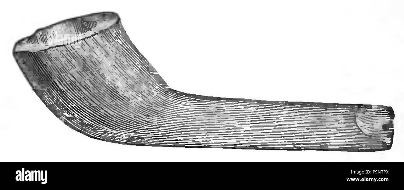 164 Atlantis - die vorsintflutliche Welt 1882 p064 Stockfoto