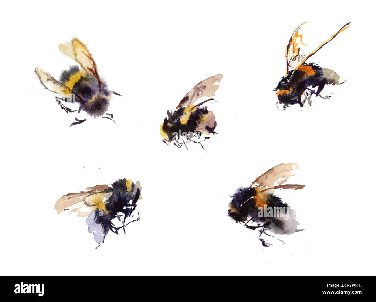 Sammlung Aquarell Bienen auf weißem Hintergrund. Hand gezeichnet Aquarell Abbildung Stockfoto