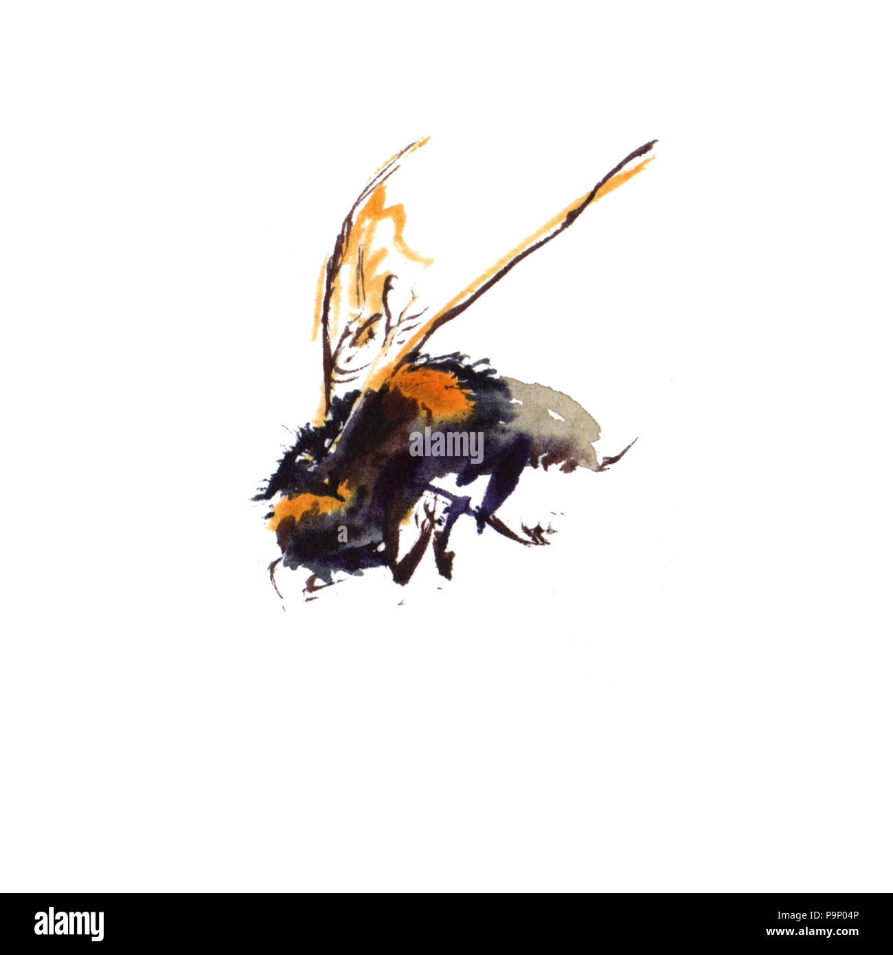 Aquarell Bienen auf weißem Hintergrund. Hand gezeichnet Aquarell Abbildung Stockfoto