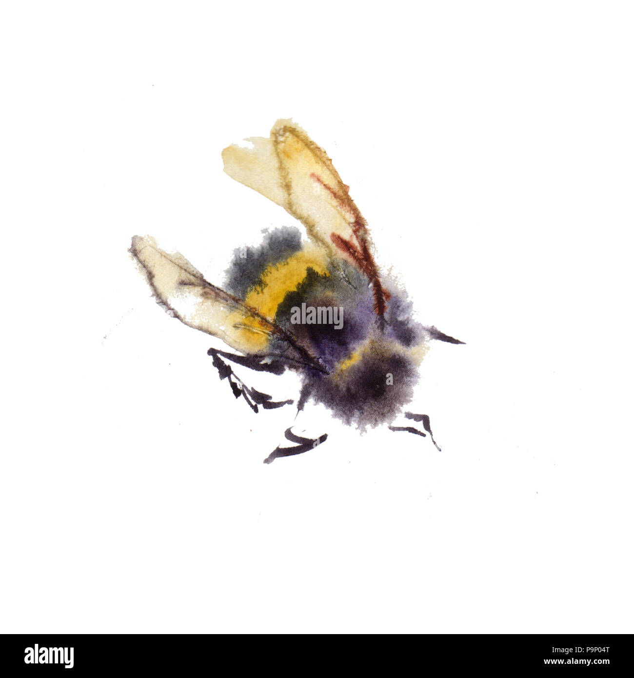 Aquarell Bienen auf weißem Hintergrund. Hand gezeichnet Aquarell Abbildung Stockfoto