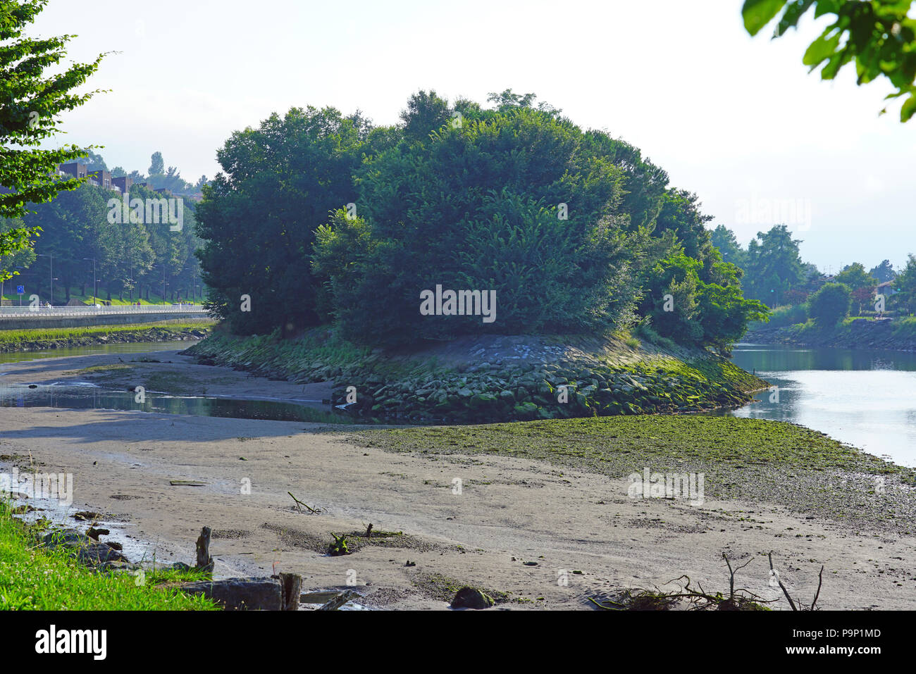 HENDAYE, Frankreich - Fasan Insel, eine unbewohnte Insel auf dem Fluss zwischen Hendaye und Bidasoa Irun (Spanien), eine einzigartige Eigentumswohnung im internationalen Recht Stockfoto