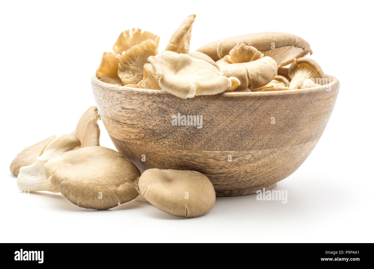 Austernpilzen (Pleurotus ostreatus Pilz) in eine hölzerne Schüssel auf weißem Hintergrund Roh ungekocht isoliert Stockfoto