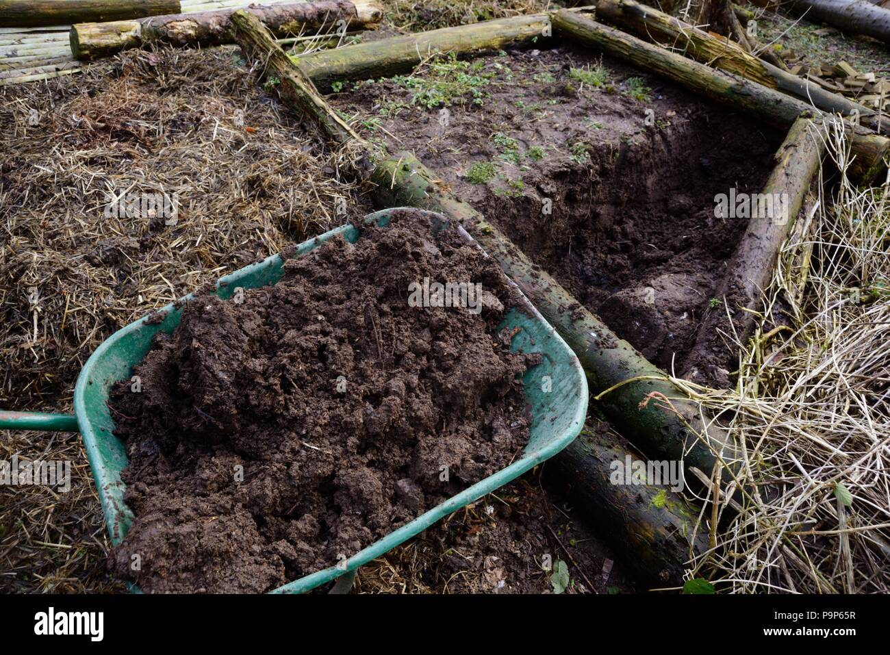 Komposthaufen von Gülle und Stroh, Wales, Großbritannien Stockfoto