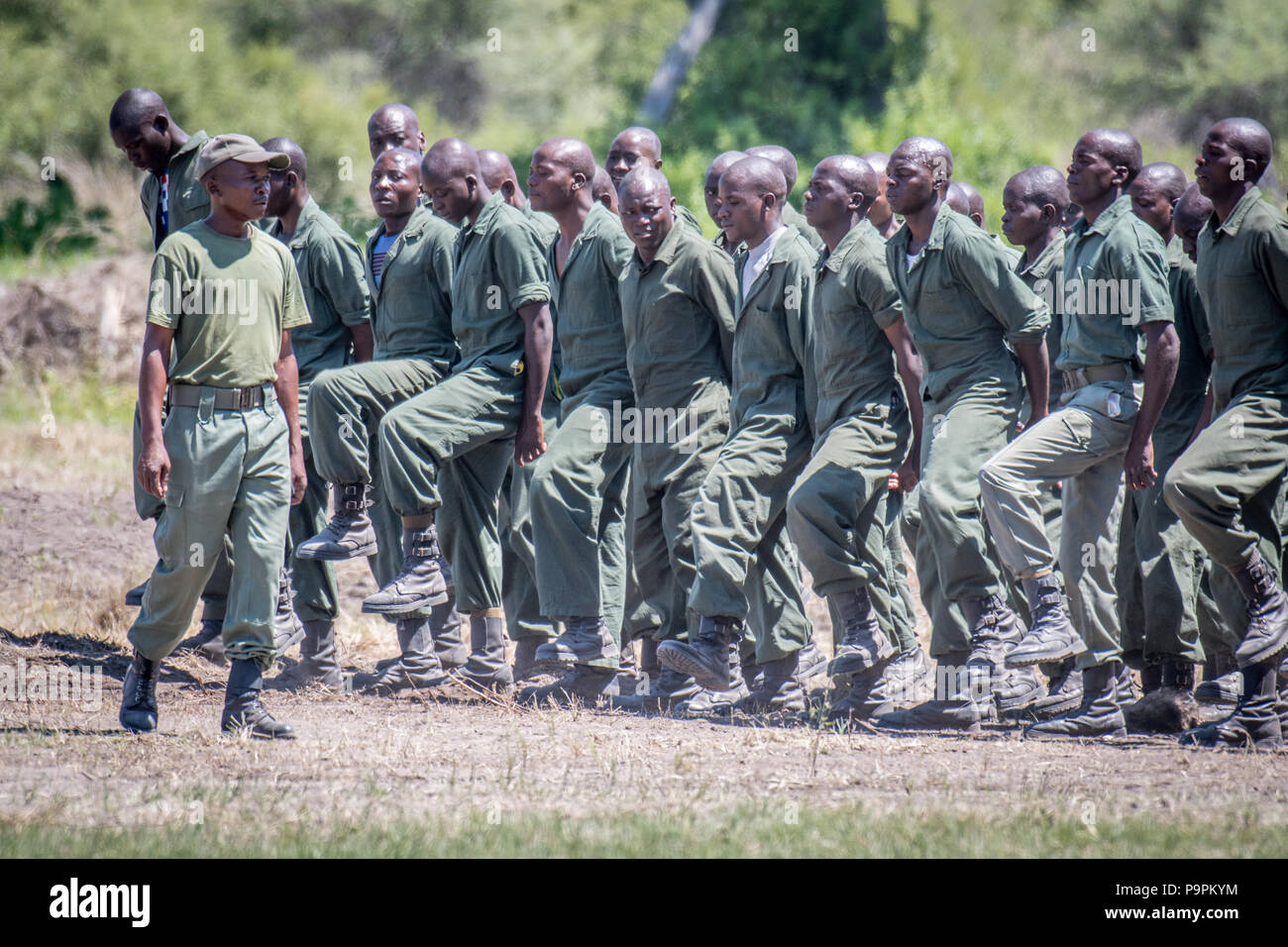 Park Rangers üben Bohren für die Hawange National Park. Hwange, Simbabwe Stockfoto