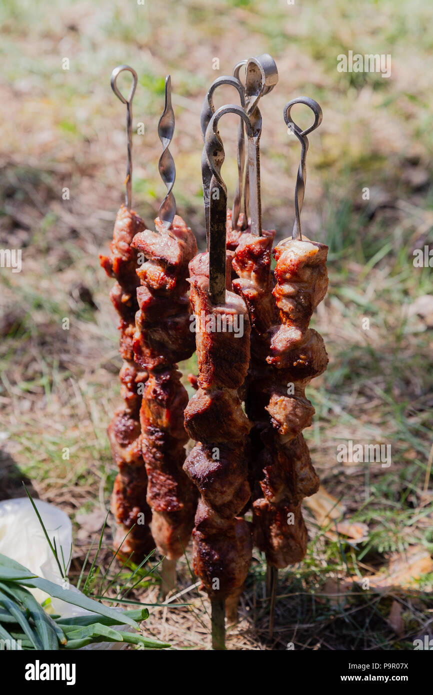 Bereit Shish Kebab am Spieß mit Gruenen und Gurken Stockfoto