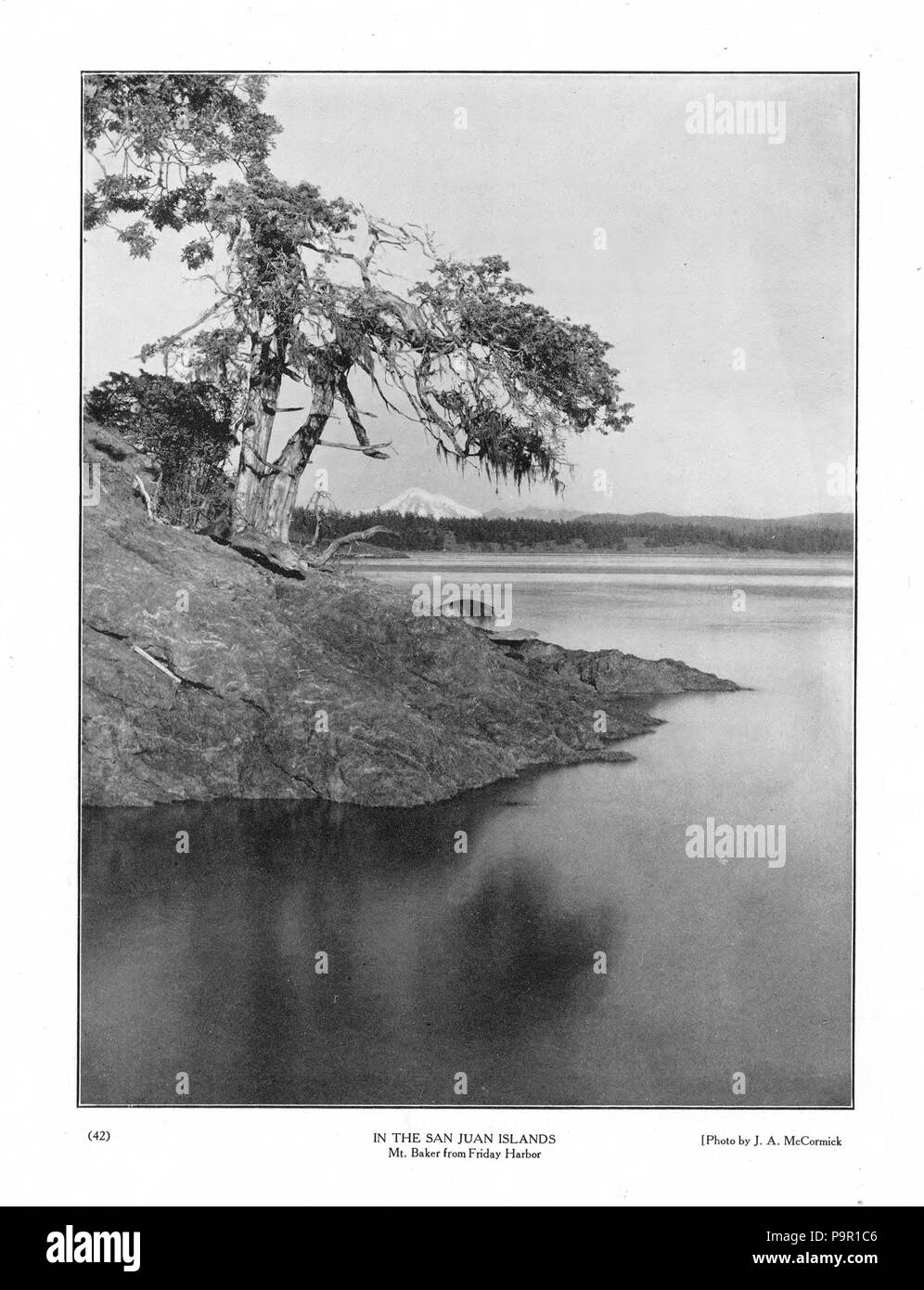 151 Argus-A.Y.P. Ed - Seite 42 Stockfoto