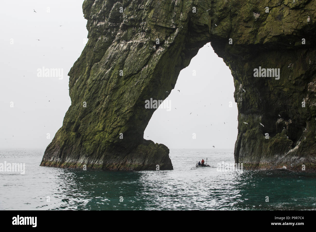 Sternzeichen mit Touristen erkunden die Vogelfelsen der Insel Bjørnøya (Bär), Spitzbergen Stockfoto
