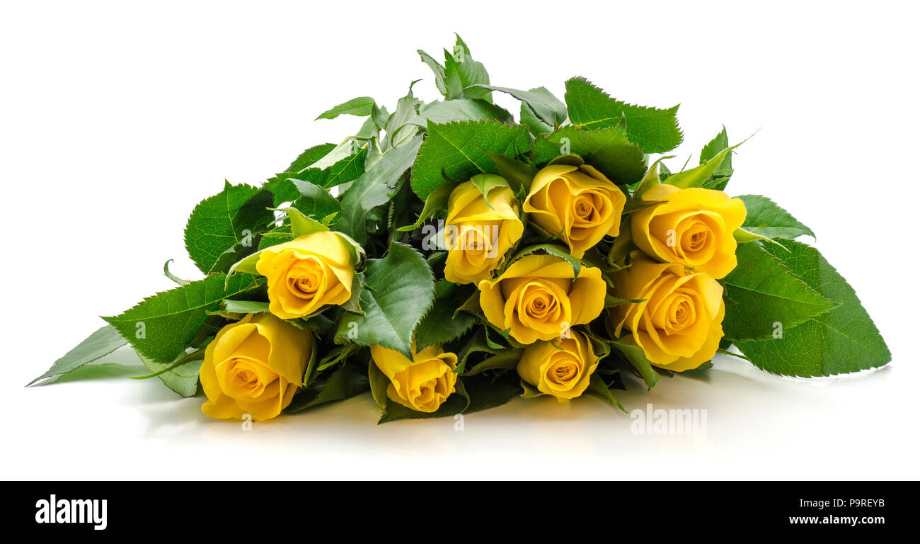 Frische neun gelbe Rosen Blumenstrauß auf weißem Hintergrund Stockfoto