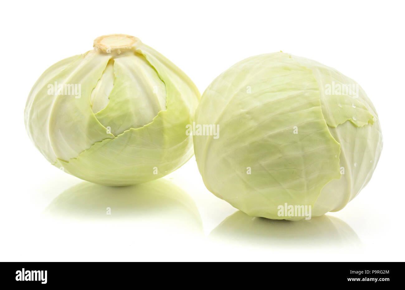 Zwei weiße Kopfkohl auf weißem Hintergrund Stockfoto