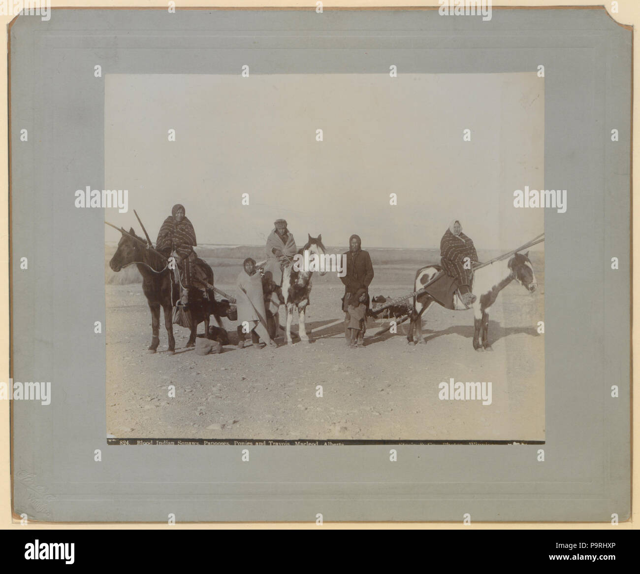 211 Blut Indischen squaws, papooses, Ponys und travois; Macleod, Alberta (HS 85-10 -13489) Stockfoto
