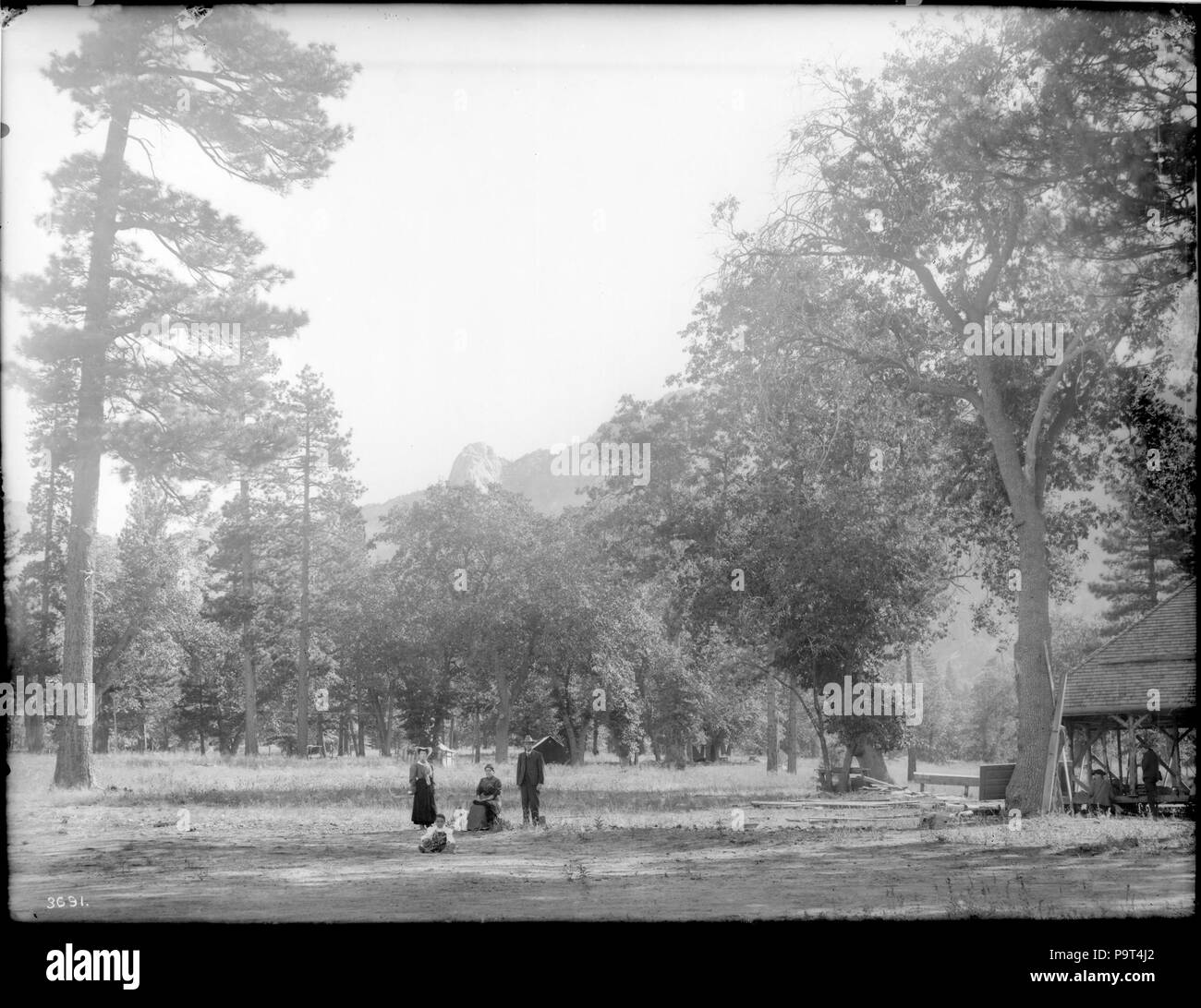 . Englisch: Camping am Mount San Jacinto, Riverside County, Ca. 1900 Foto von vier Personen und einen Hund auf einem Campingplatz am Mount San Jacinto (Tauquitz Peak), Riverside County, Ca. 1900. Eine Frau und ein Mann stehen auf beiden Seiten der Frau sitzt auf einem Hocker. Ein Kind sitzt auf dem Boden vor ihnen. Der Hund steht neben der Sitzung Frau. Im Hintergrund zwei Zelte sind sichtbar. Auf der rechten Seite, zwei Männer stehen und sitzen in der Nähe von einem Gebäude aus Holz im Bau. Hohe Bäume Rahmen der Gegend. Ein Berg ist im Hintergrund sichtbar durch das Laub. Rufnummer: CHS-3691 Dateiname: CHS-3691 Abdeckung dat Stockfoto