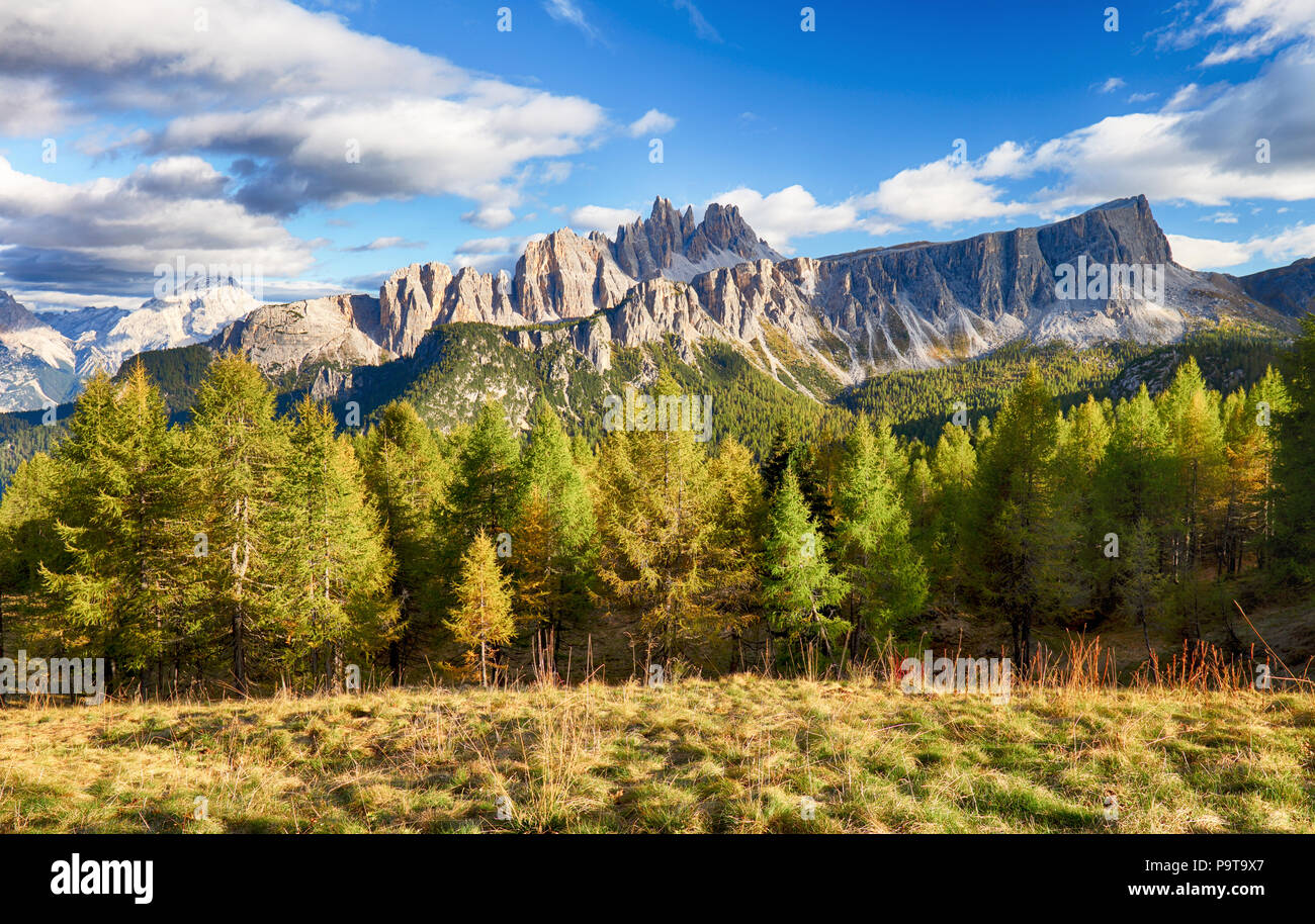 Schönen Wald Berge in den Alpen Stockfoto
