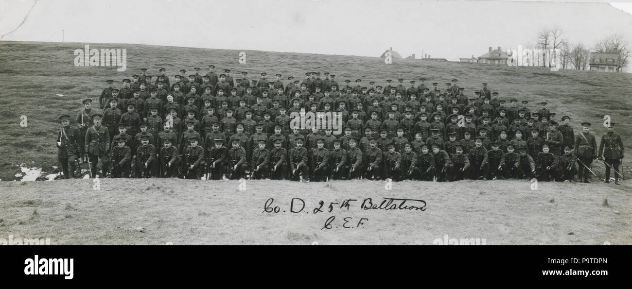 341 Unternehmen D 25 Bataillon Canadian Expeditionary Force (HS 85-10 -29979) Stockfoto