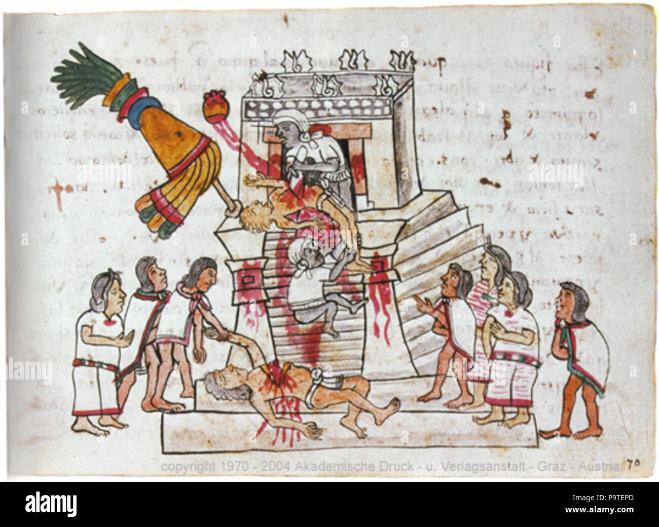 . Englisch: Aztec rituelle Menschenopfer im Seite 141 dargestellt (Folio 70r) Der Codex Magliabechiano.. 16. Jahrhundert 332 Codex Magliabechiano (141) Stockfoto